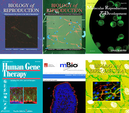 journal covers journal covers